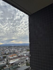 ハトネット新設　騒音 フン害や病原菌媒介など 被害にお悩みの方