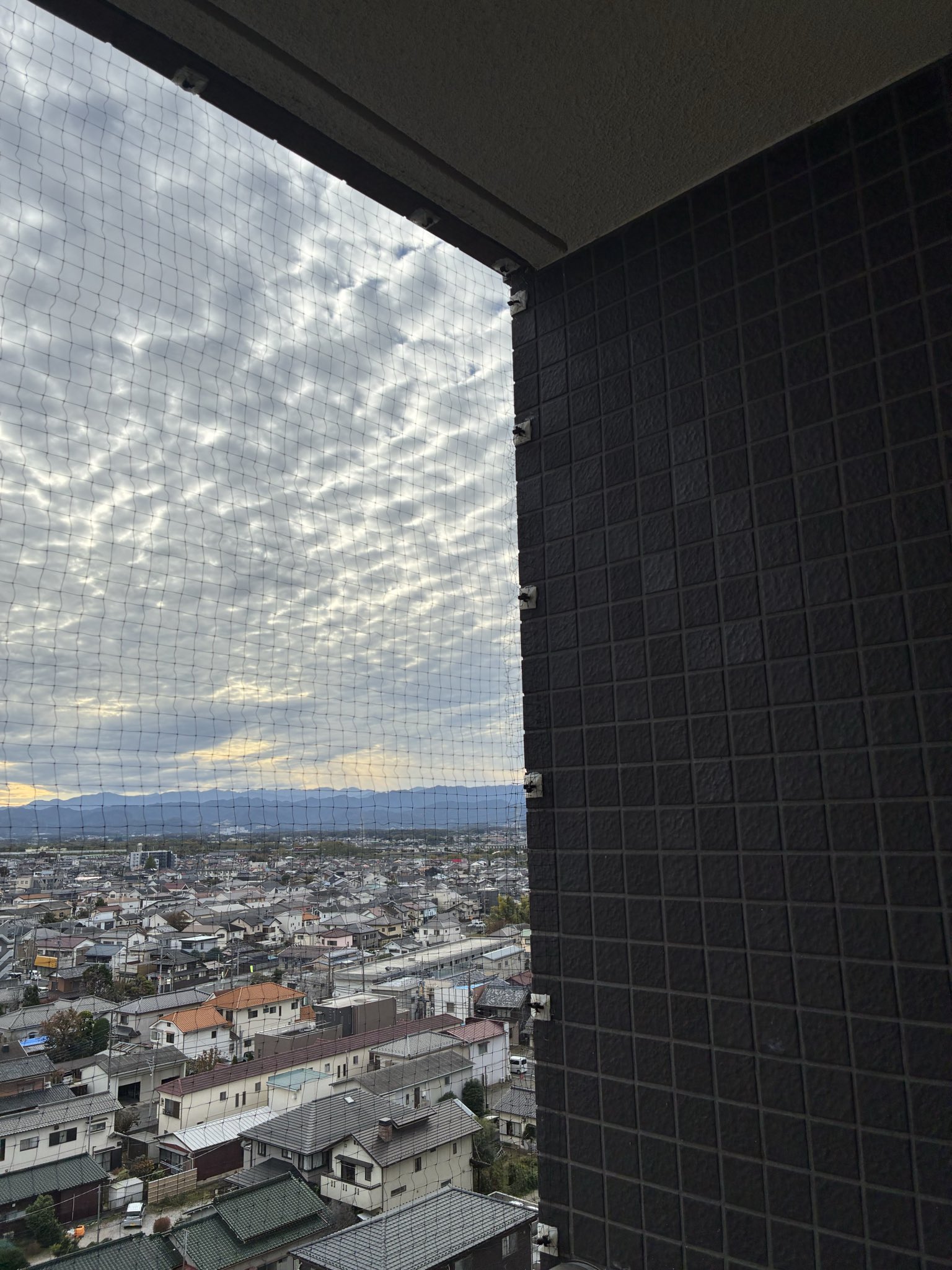 ハトネット新設　騒音 フン害や病原菌媒介など 被害にお悩みの方