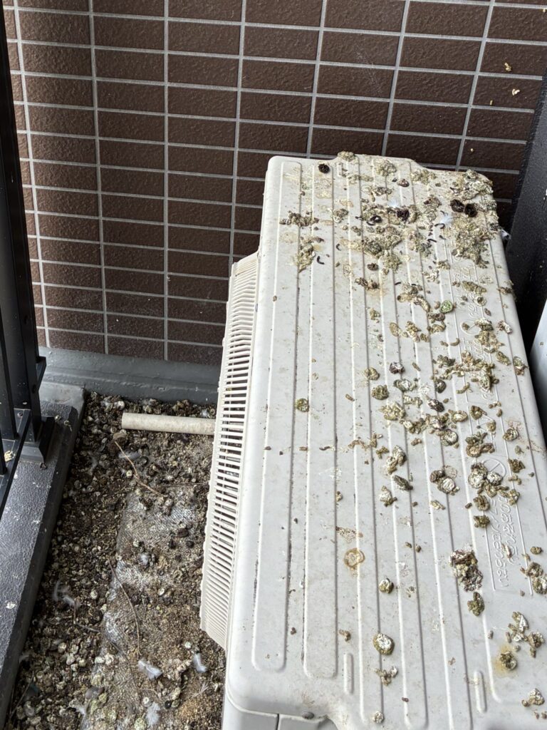 ベランダや屋根にハトのフンが…放置していませんか？