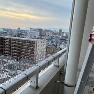 今すぐ何とかしたい！」「自分でやるのは怖い・無理」「ちゃんとした業者か不安」 安心・実績・早さ・地域密着のシャフトにお問い合わせください。 ツイッターにて近況もアップしてます。 https://x.com/g_chaft_com 覗いてみてくださいね ・現地調査・見積り無料　・無理な営業は一切ありません ・再発防止を重視した施工　・地域密着で迅速対応 埼玉 害獣 駆除　さいたま市　 害獣 　対策川口 　ネズミ 駆除　越谷 害鳥 対策