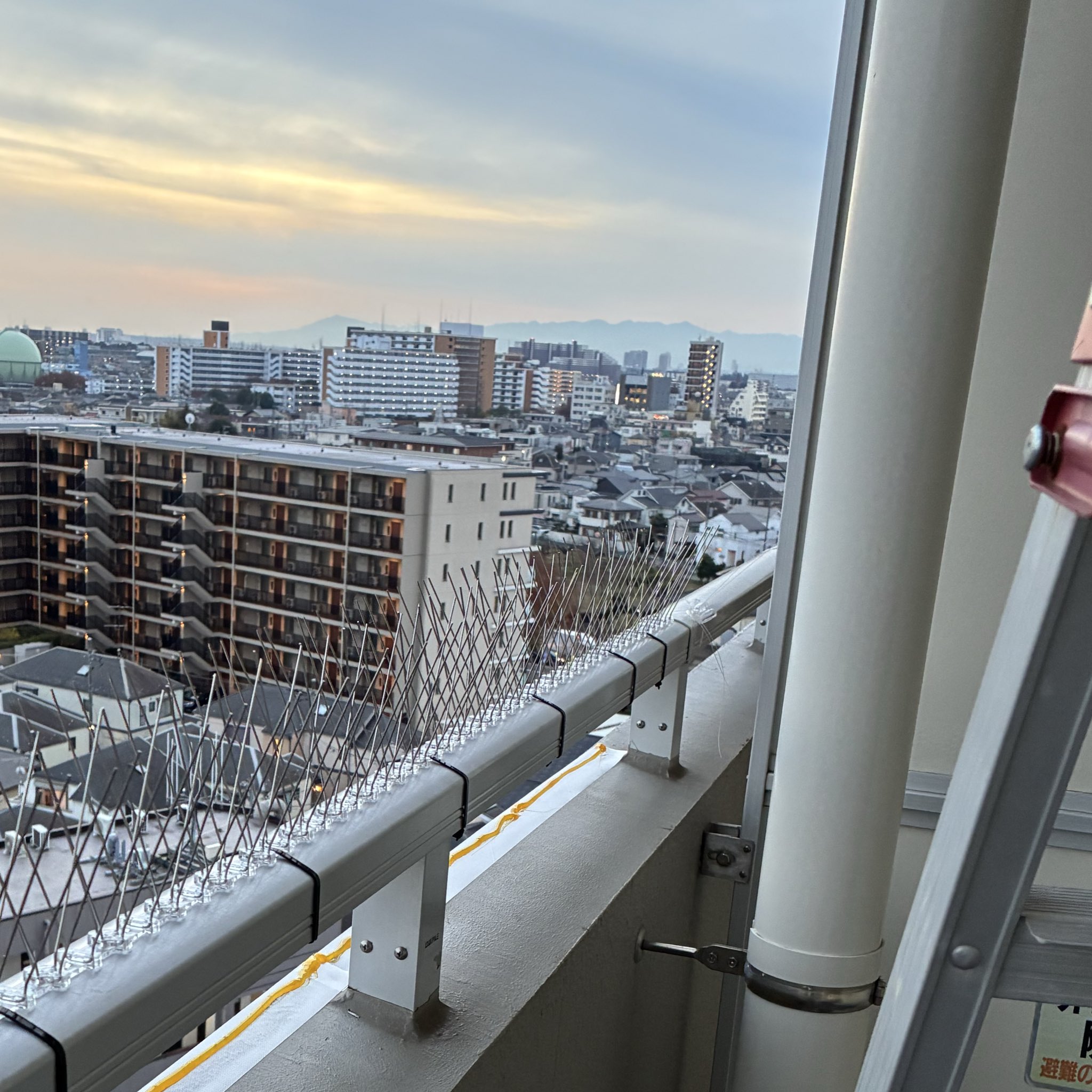 今すぐ何とかしたい！」「自分でやるのは怖い・無理」「ちゃんとした業者か不安」 安心・実績・早さ・地域密着のシャフトにお問い合わせください。 ツイッターにて近況もアップしてます。 https://x.com/g_chaft_com 覗いてみてくださいね ・現地調査・見積り無料　・無理な営業は一切ありません ・再発防止を重視した施工　・地域密着で迅速対応 埼玉 害獣 駆除　さいたま市　 害獣 　対策川口 　ネズミ 駆除　越谷 害鳥 対策