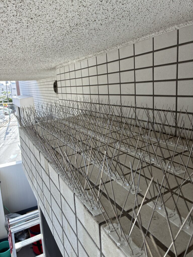 埼玉県の害獣・害鳥対策ならシャフトにお任せ