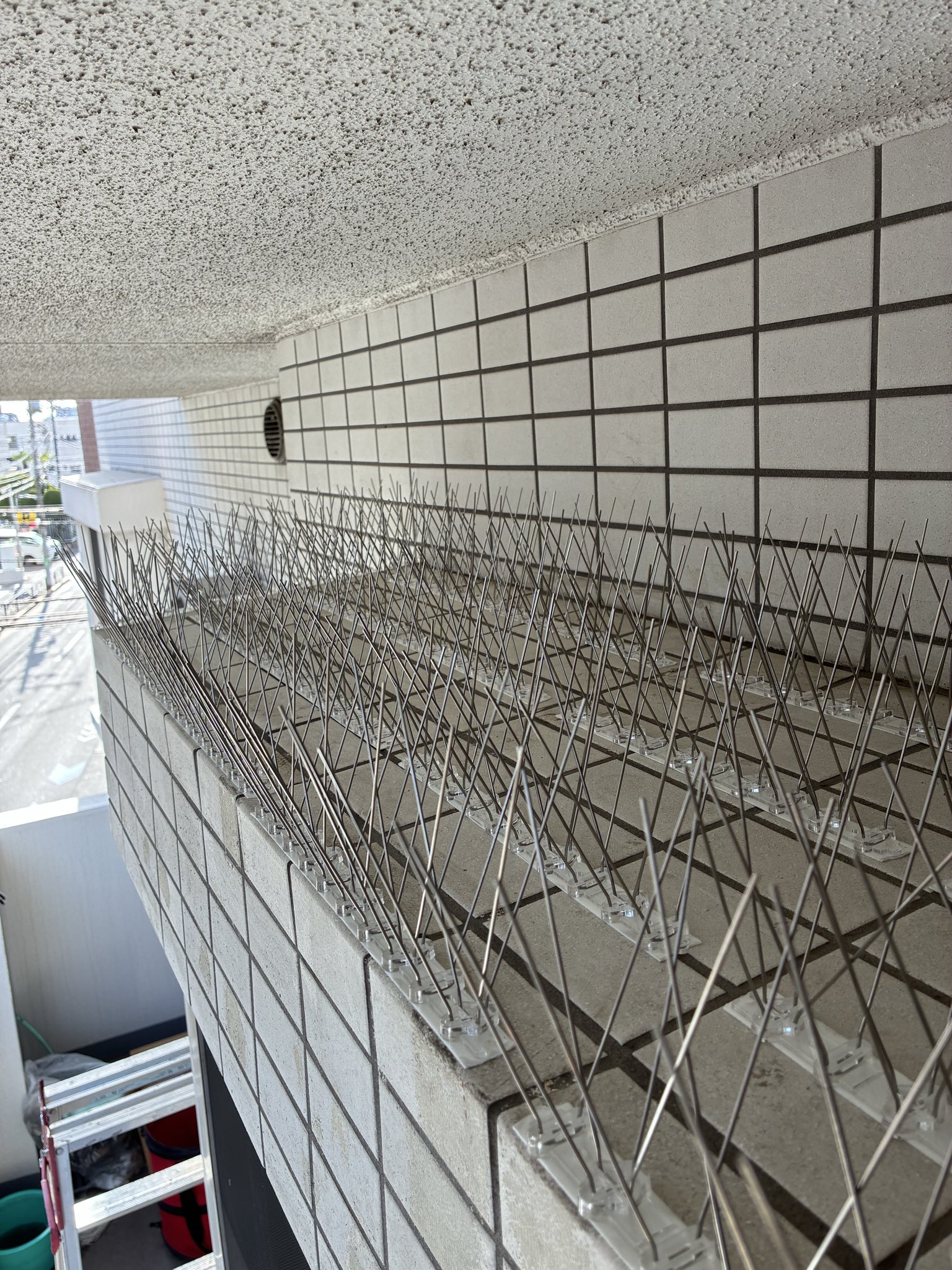 埼玉県の害獣・害鳥対策ならシャフトにお任せ